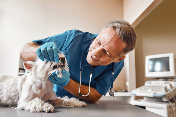 Best 24-Hour Emergency Dentist in Richmond, VA